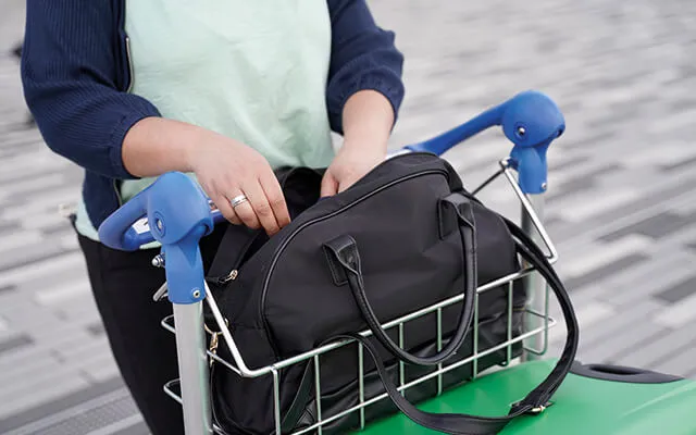 Luggage carrier and shopping aid